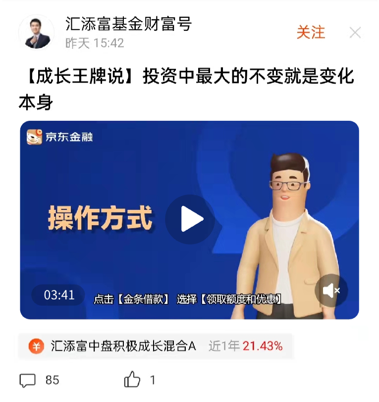 纯视频示意图